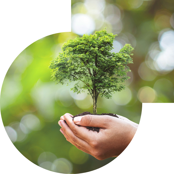 关怀人类、文化、环境与社会